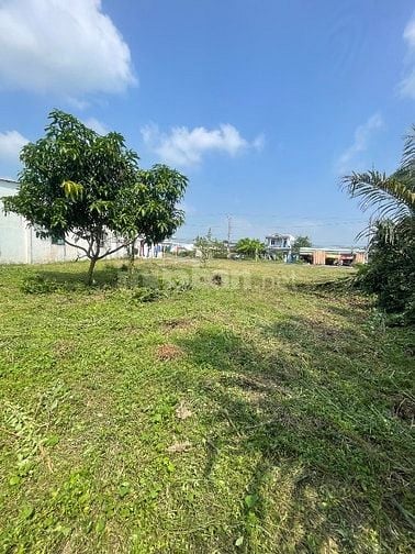 cần bán miếng đất mặt tiền ql50 chiều ngang 50m đối diện kcn ph đông