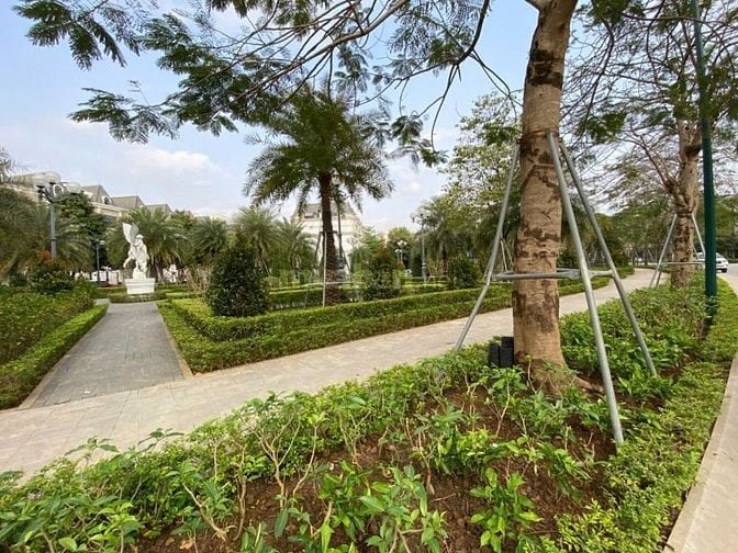 TỔNG HỢP CÁC CĂN BIỆT THỰ ĐANG BÁN – CIPUTRA TÂY HỒ – HÀ NỘI 