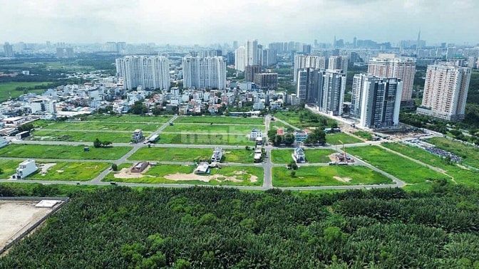 Bán đất sổ đỏ KDC Thái Sơn, lô C11,DT : 10x25 . Đg 12m . Giá: 65tr/m2 