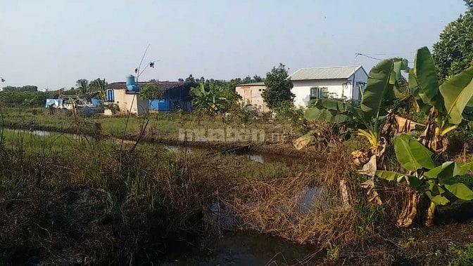 Cần bán lô đất đường Kênh 5 - Vườn Thơm, X. Bình Lợi