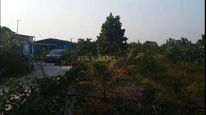 Cần bán lô đất đường Kênh 5 - Vườn Thơm, X. Bình Lợi