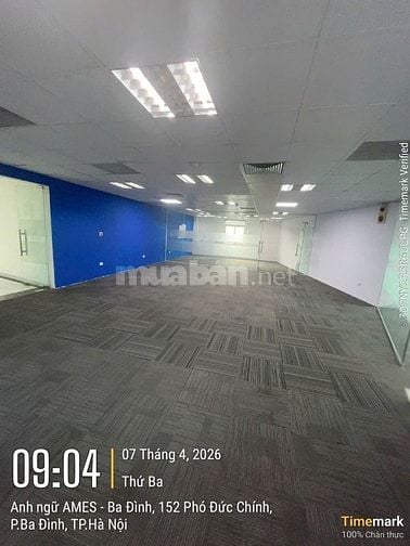 Tòa nhà văn phòng 12 tầng 152 Phó Đức Chính trống dt 125m2, 250m2