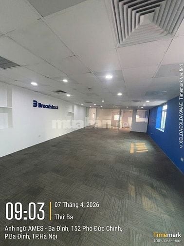 Tòa nhà văn phòng 12 tầng 152 Phó Đức Chính trống dt 125m2, 250m2