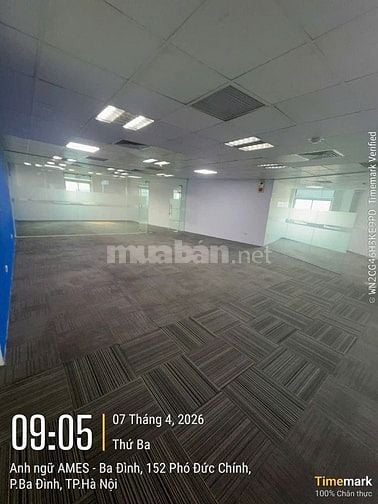 Tòa nhà văn phòng 12 tầng 152 Phó Đức Chính trống dt 125m2, 250m2