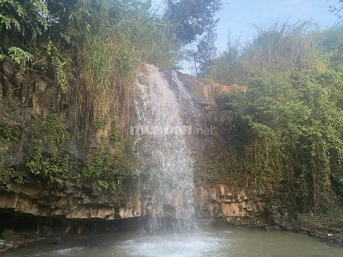 Bán vườn 8000 m2, có thác nước, ở Lâm Hà, gần sân bay Liên khương