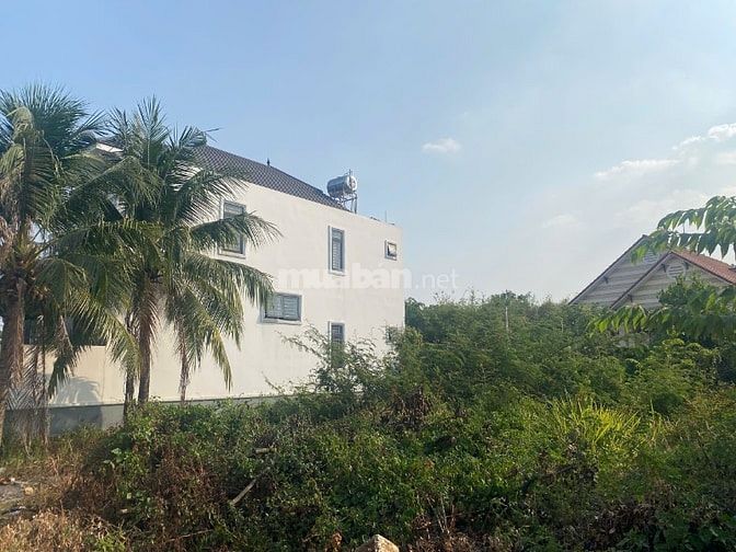 Cần bán cặp đất Cù lao Hiệp Hòa sổ riêng thổ cư không quy hoạch