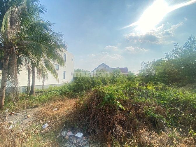 Cần bán cặp đất Cù lao Hiệp Hòa sổ riêng thổ cư không quy hoạch