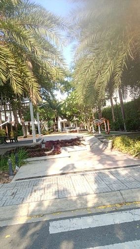 Khu dân cư Thắng Lợi Central Hill- Phước Lợi, Huyện Bến Lức- Long An