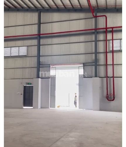 Kho xưởng cho thuê KCN Xuyên Á , gáp Hóc Môn,  DT: 1,600m2