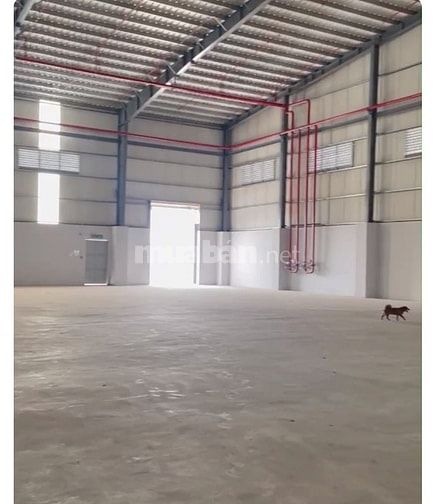 Kho xưởng cho thuê KCN Xuyên Á , gáp Hóc Môn,  DT: 1,600m2