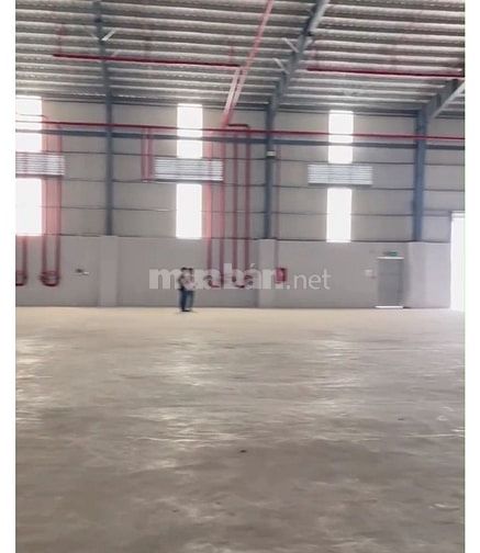 Kho xưởng cho thuê KCN Xuyên Á , gáp Hóc Môn,  DT: 1,600m2