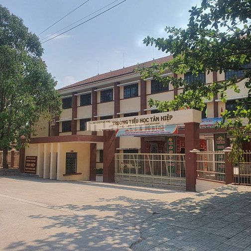 ĐẤT NGỘP 18X40=720M2 SỔ RIÊNG THỔ CƯ SÁT CHỢ, ĐƯỜNG NHỰA 12M GIÁ 660TR