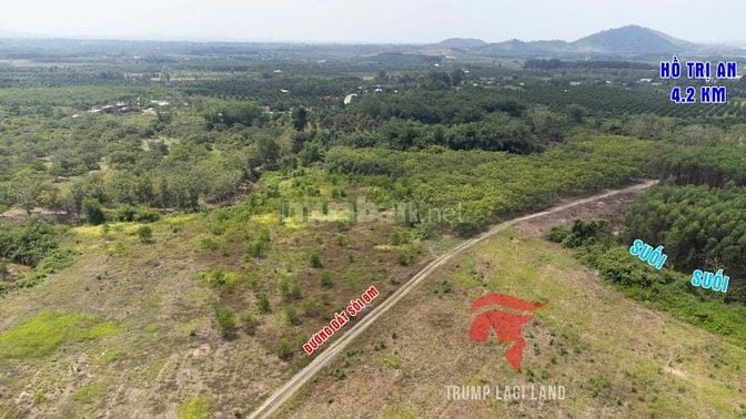 bán đất 2000m2 có 100m thổ cư, Thanh Sơn, Định Quán, Đồng Nai. Giá Rẻ