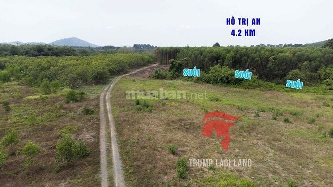 bán đất 2000m2 có 100m thổ cư, Thanh Sơn, Định Quán, Đồng Nai. Giá Rẻ