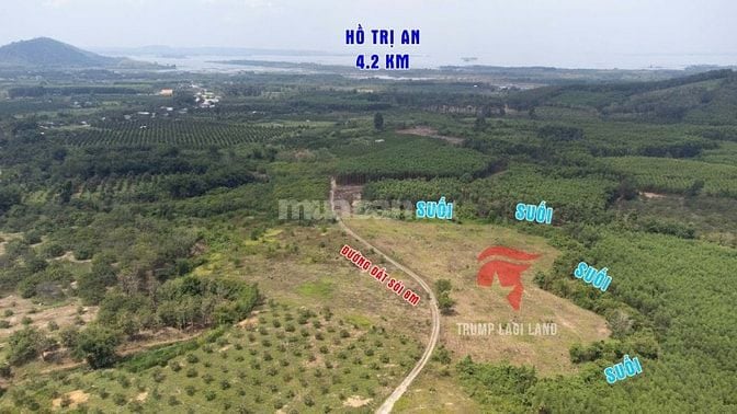bán đất 2000m2 có 100m thổ cư, Thanh Sơn, Định Quán, Đồng Nai. Giá Rẻ