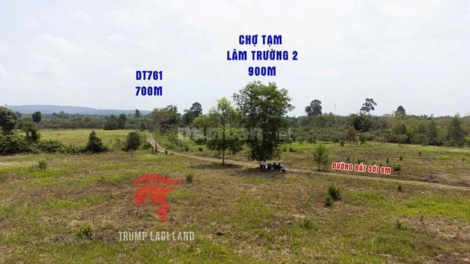 bán đất 2000m2 có 100m thổ cư, Thanh Sơn, Định Quán, Đồng Nai. Giá Rẻ