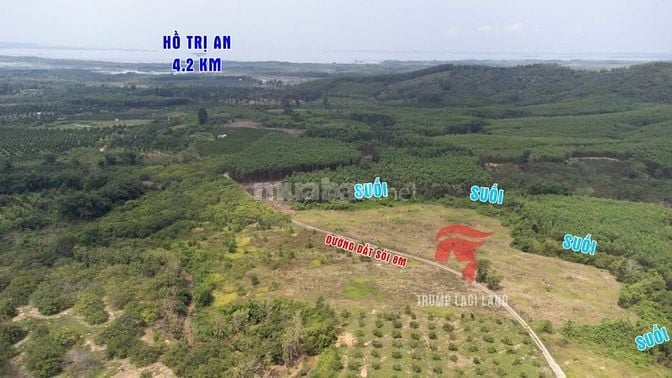 bán đất 2000m2 có 100m thổ cư, Thanh Sơn, Định Quán, Đồng Nai. Giá Rẻ