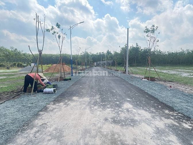 Đất nền 225m2 thổ cư 60m2 xây nhà ở 2 phòng ngủ Chơn Thành - Đồng Nai
