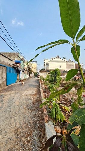 Bán lô đất Thổ cư gần Nguyễn Ảnh Thủ-rộng 5m-hẻm xe hơi-nhỉnh hơn 4 tỷ