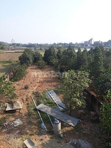 Chủ thuê đất 700m2 trồng rau ,chăn nuôi Chúc Son, Chương Mỹ giá 2tr