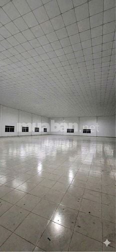 Nhà xưởng cho thuê Tân Thới Nhất,  Quận 12 , DT: 4,000m2