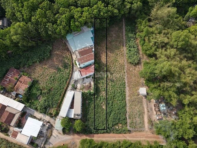 Bán lô đất, Phú Hoà Đông, Củ Chi, TpHCM. 535m2, thổ 120m2, giá 4.4 tỷ
