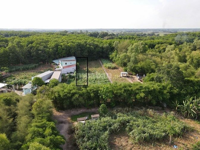 Bán lô đất, Phú Hoà Đông, Củ Chi, TpHCM. 535m2, thổ 120m2, giá 4.4 tỷ
