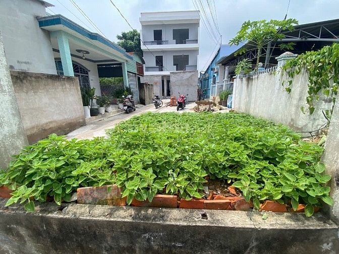Chủ cần bán lô đất hẻm 3m đường Nguyễn Duy Trinh Q2