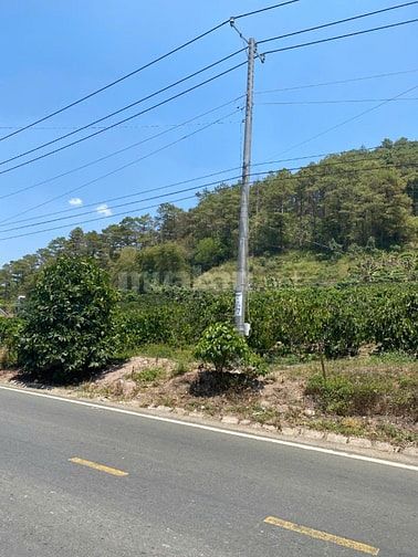 Chính chủ bán gấp lô đất mặt tiền đt725 giá tốt hiếm có