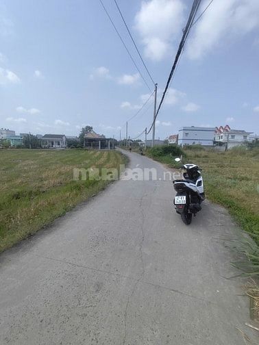 🔥chủ ngộp bán gấp lô đất Long Cang Cần Đước Long An 