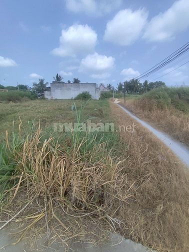 🔥chủ ngộp bán gấp lô đất Long Cang Cần Đước Long An 