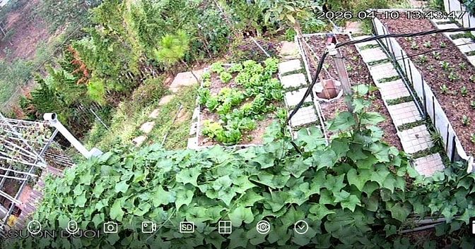 TUYỂN 2 NGƯỜI CHĂM SÓC NHÀ VÀ VƯỜN QUANH NHÀ TẠI ĐÀ LẠT