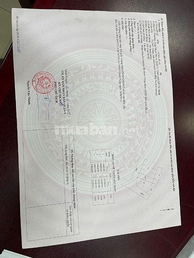 Chính Chủ Bán Lô Đất Đẹp Phường Tăng Nhơn Phú A Quận 9