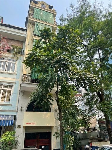 Cho thuê nhà Trần Quang Diệu – 50m² x 6T – thang máy – hợp kinh doanh