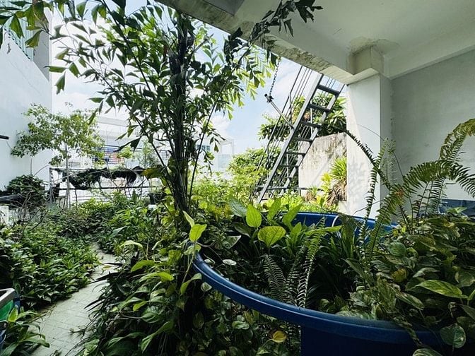 GIẢM SÂU 600 TRIỆU  BÁN NHÀ DIỆN TÍCH LỚN HUỲNH VĂN BÁNH PHÚ NHUẬN 