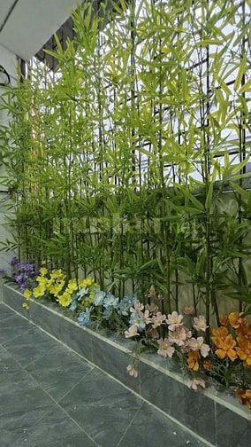 Bán nhà chính chủ phố Đào Tấn, 3 ngủ, 3 ban công