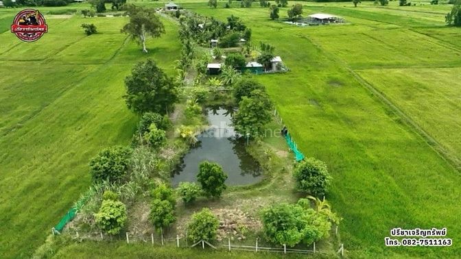 Ngộp bán rẻ lô đất hẻm 2.940m² thuộc Tân Nhựt, Bình Chánh giá 1,2tr/m²