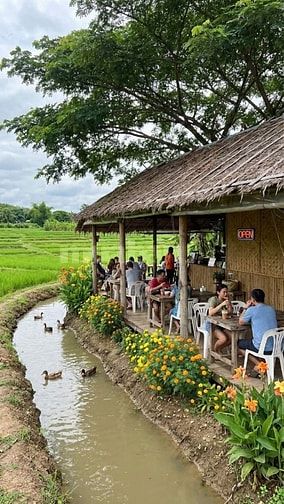 Ngộp bán rẻ lô đất hẻm 2.940m² thuộc Tân Nhựt, Bình Chánh giá 1,2tr/m²