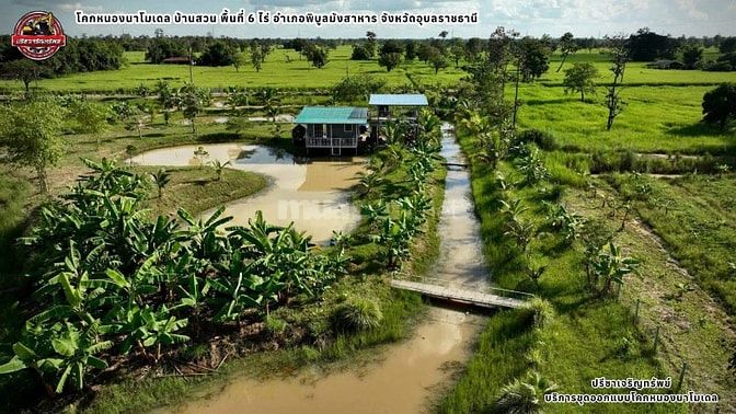 Ngộp bán rẻ lô đất hẻm 2.940m² thuộc Tân Nhựt, Bình Chánh giá 1,2tr/m²
