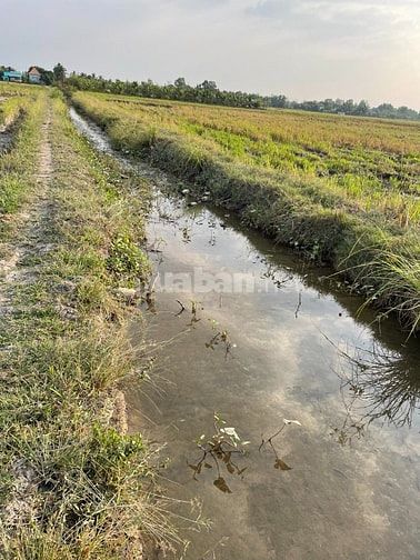 Ngộp bán rẻ lô đất hẻm 2.940m² thuộc Tân Nhựt, Bình Chánh giá 1,2tr/m²