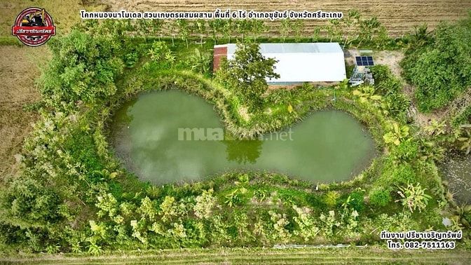 Ngộp bán rẻ lô đất hẻm 2.940m² thuộc Tân Nhựt, Bình Chánh giá 1,2tr/m²