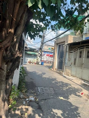 🌟6.5tr_4x20m suốt_hẻm 4m Đỗ Bí_cho thuê nhà Phường Phú Thạnh_Tân Phú