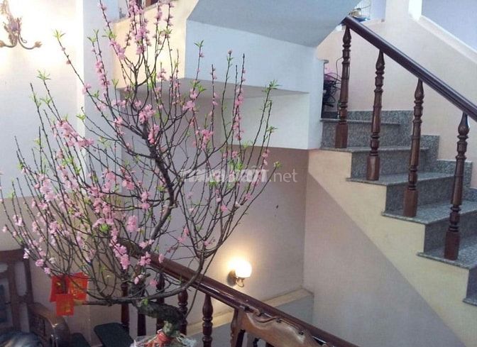 Hẻm kinh doanh siêu HOT 353/ nguyễn trọng tuyển