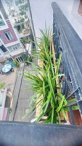 BÁN NHÀ NGUYỄN CẢNH CHÂN QUẬN 1