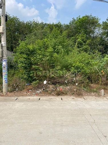 CHÍNH CHỦ BÁN ĐẤT 179m² - TÂN ĐỊNH 08, BẮC TÂN UYÊN, BÌNH DƯƠNG