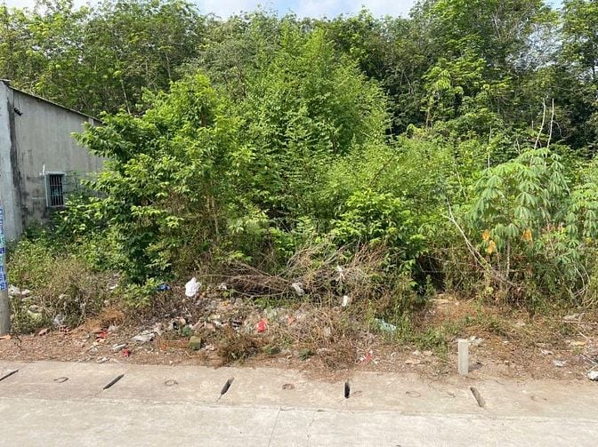 CHÍNH CHỦ BÁN ĐẤT 179m² - TÂN ĐỊNH 08, BẮC TÂN UYÊN, BÌNH DƯƠNG