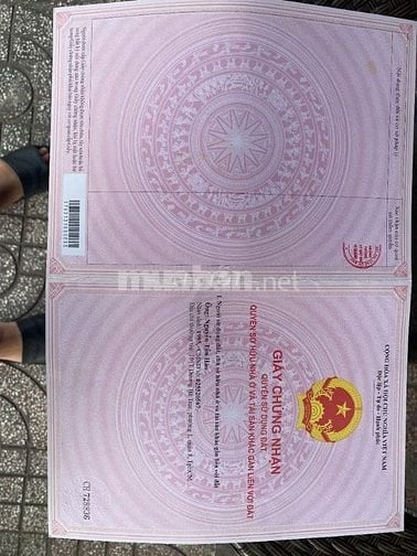 Bán Nhà Mặt Tiền đường số 10, KDC ấp 5 Phong phú, Bình Chánh