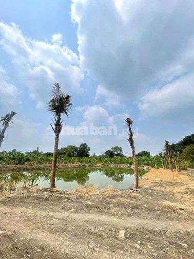 BÁN 4266M2 ĐẤT VƯỜN, GIÁ 3.5 TỶ, SỔ HỒNG CÔNG CHỨNG NGAY
