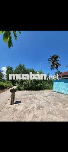 Bán đất đẹp cầu Xẻo Kè thị trấn Thứ 3 An Biên Kiên Giang