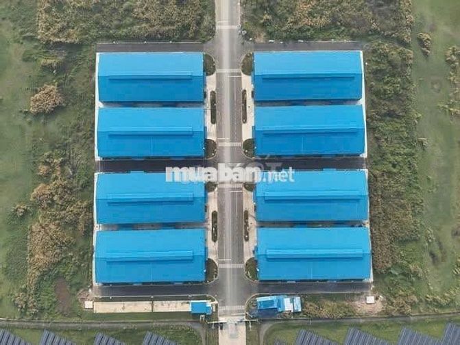 Cho thuê kho nằm tại Tây Ninh ( kho mới )